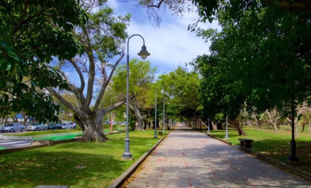 No descartan la privatización del Parque Luis Muñoz Rivera