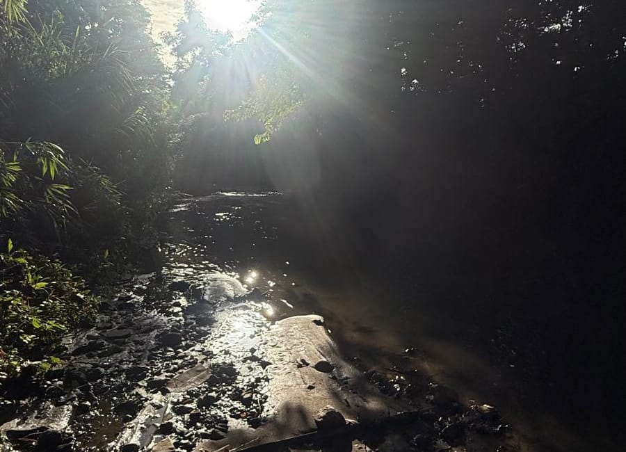 Resolución comunitaria para el manejo integrado de la cuenca hidrográfica del río Piedras