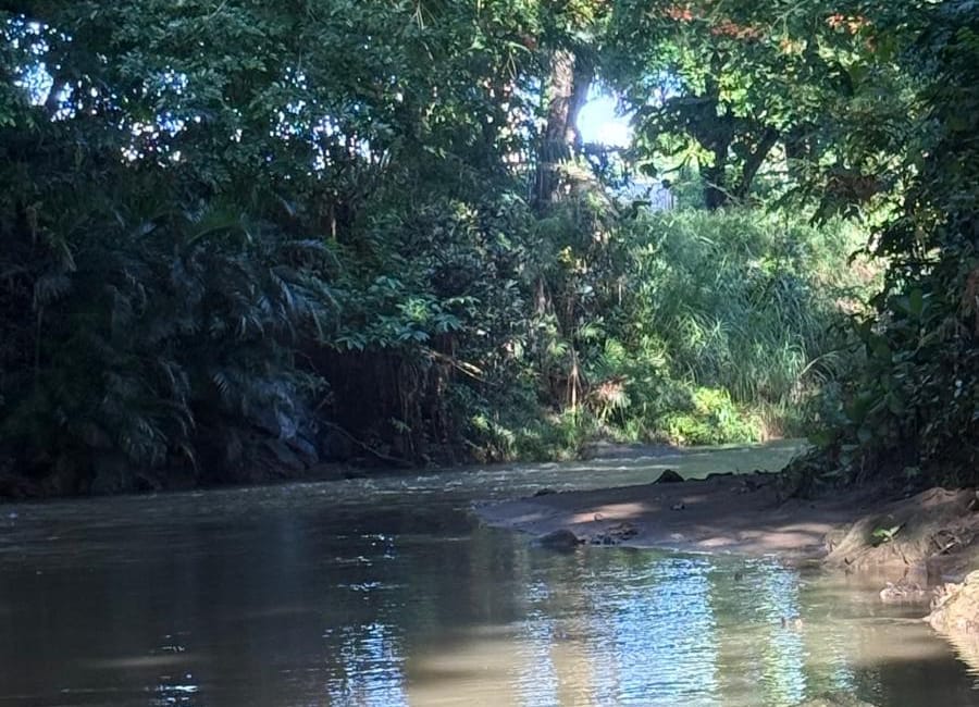 Arrasar o coexistir, el caso del río Piedras