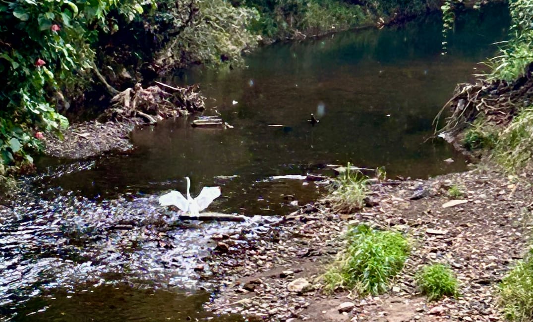 Fiscalización desde las Minorías para una Justicia Ambiental Participativa