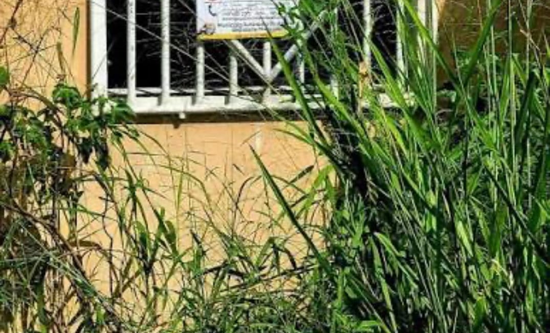 Legisladora Municipal  Elsa Melecio Freytes denuncia ordenanza de estorbos públicos como vía para expropiación forzosa