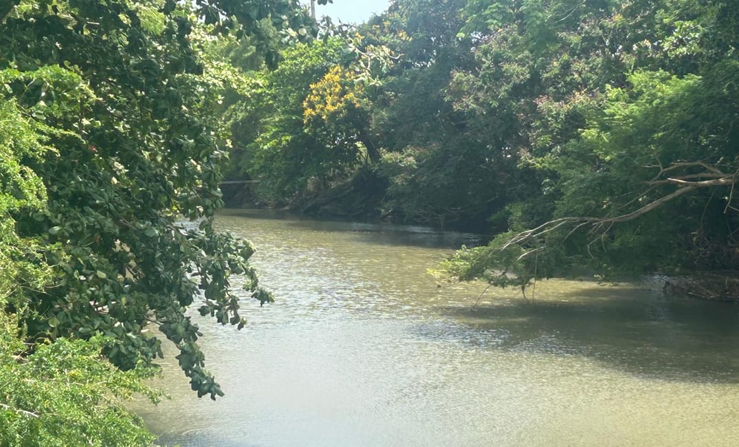 El costo político del silencio climático