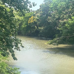 Imagen de: El costo político del silencio climático