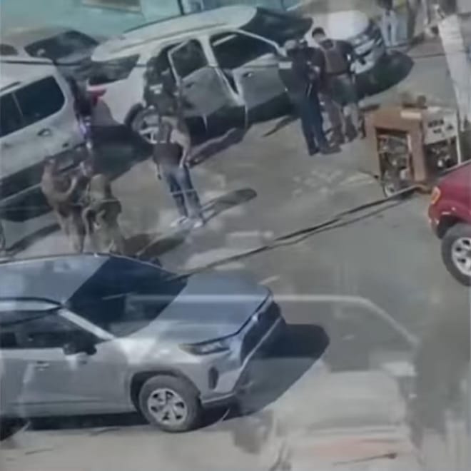 Imagen de: Dignidad, protección y resistencia ante la exclusión migratoria