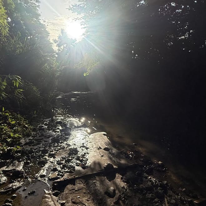 Imagen de: Resolución comunitaria para el manejo integrado de la cuenca hidrográfica del río Piedras
