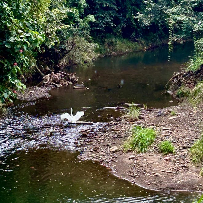 Imagen de: Fiscalización desde las Minorías para una Justicia Ambiental Participativa