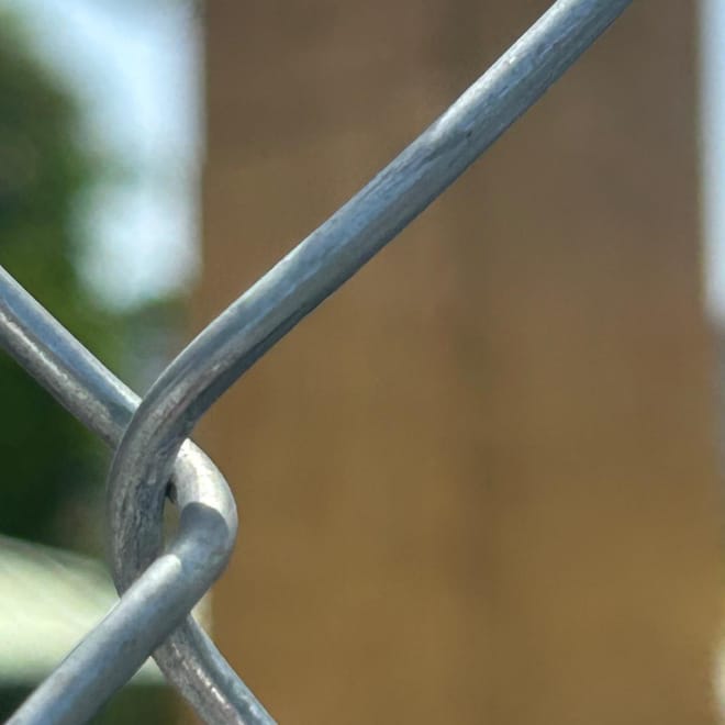 Imagen de: El silencio que encierra los parques de San Juan