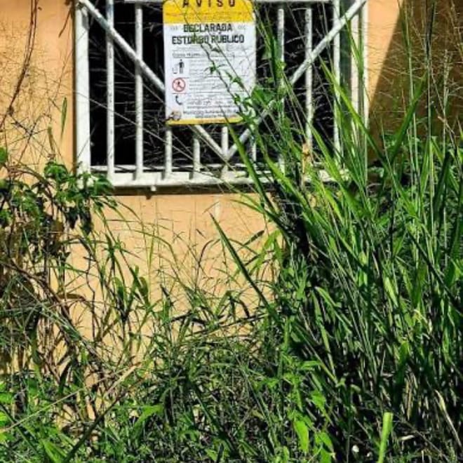 Imagen de: Legisladora Municipal  Elsa Melecio Freytes denuncia ordenanza de estorbos públicos como vía para expropiación forzosa