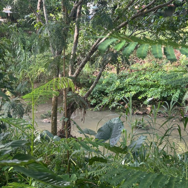 Imagen de: Comunidades denuncian contradicción entre política pública y acciones municipales sobre el río Piedras